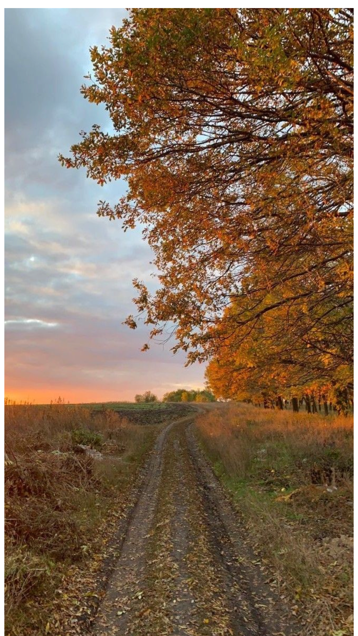 What I'm Looking Forward To Most This Autumn