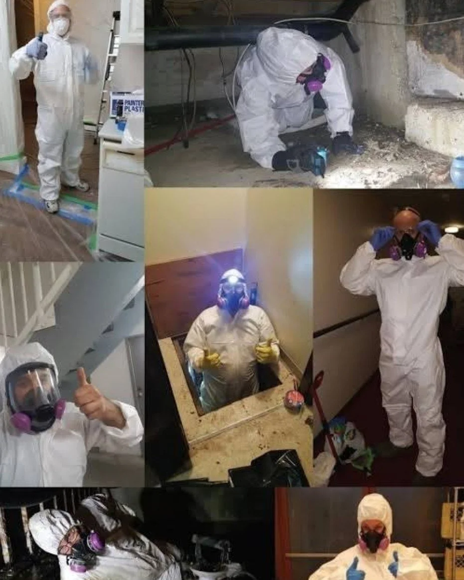 Multiple biohazard cleaners dressed in full protective hazmat suits, masks, and gloves, engaged in various cleaning, disinfecting, or containment activities indoors and outdoors.