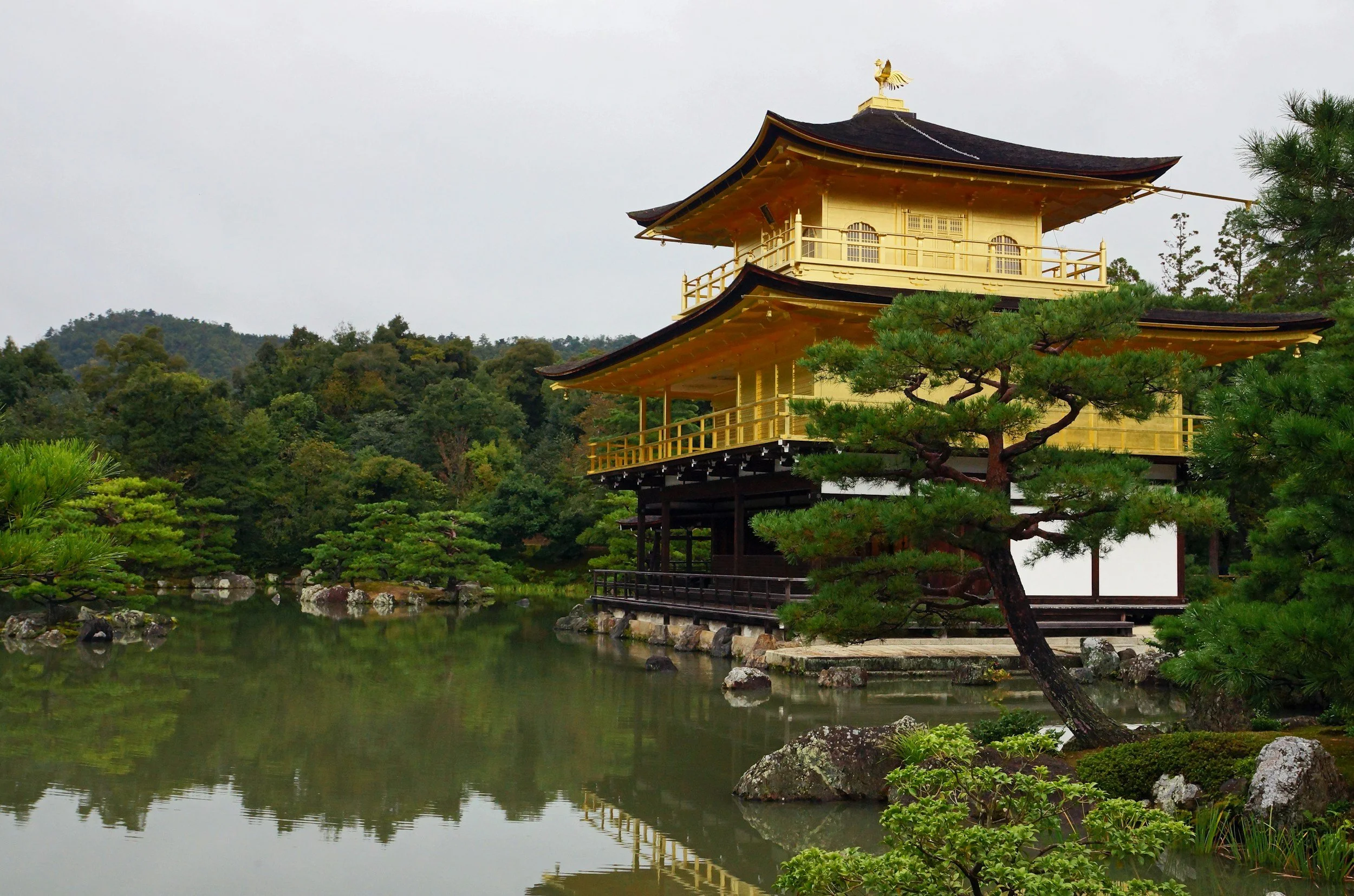 A traditional Japanese-style building with multiple tiers and curved roofs, painted in gold, situated beside a calm pond and surrounded by lush greenery and trees.