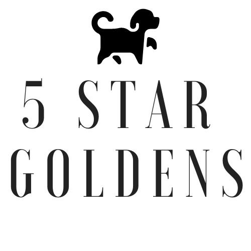 5 Star Goldens