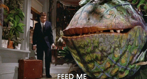image.jpeg