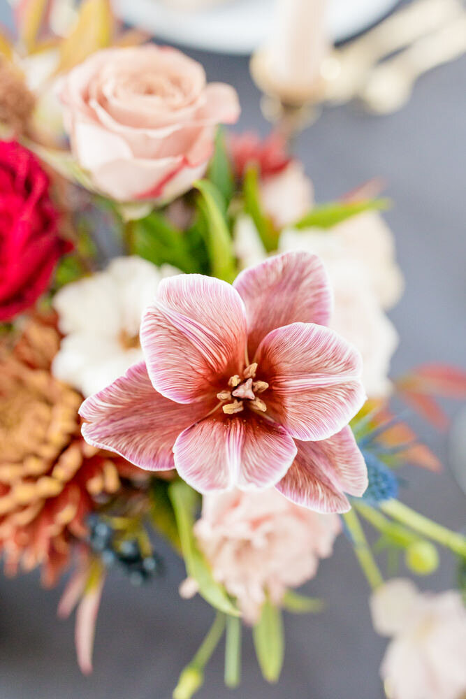 Pinewood Styled Shoot-151.jpg