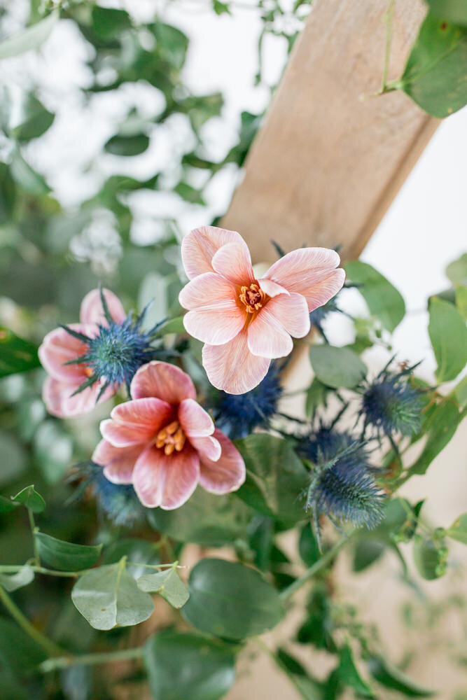 Pinewood Styled Shoot-334.jpg