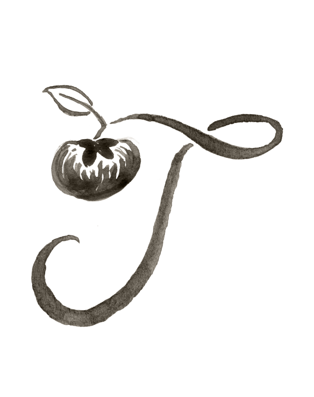 T persimmon Dark Grey.png