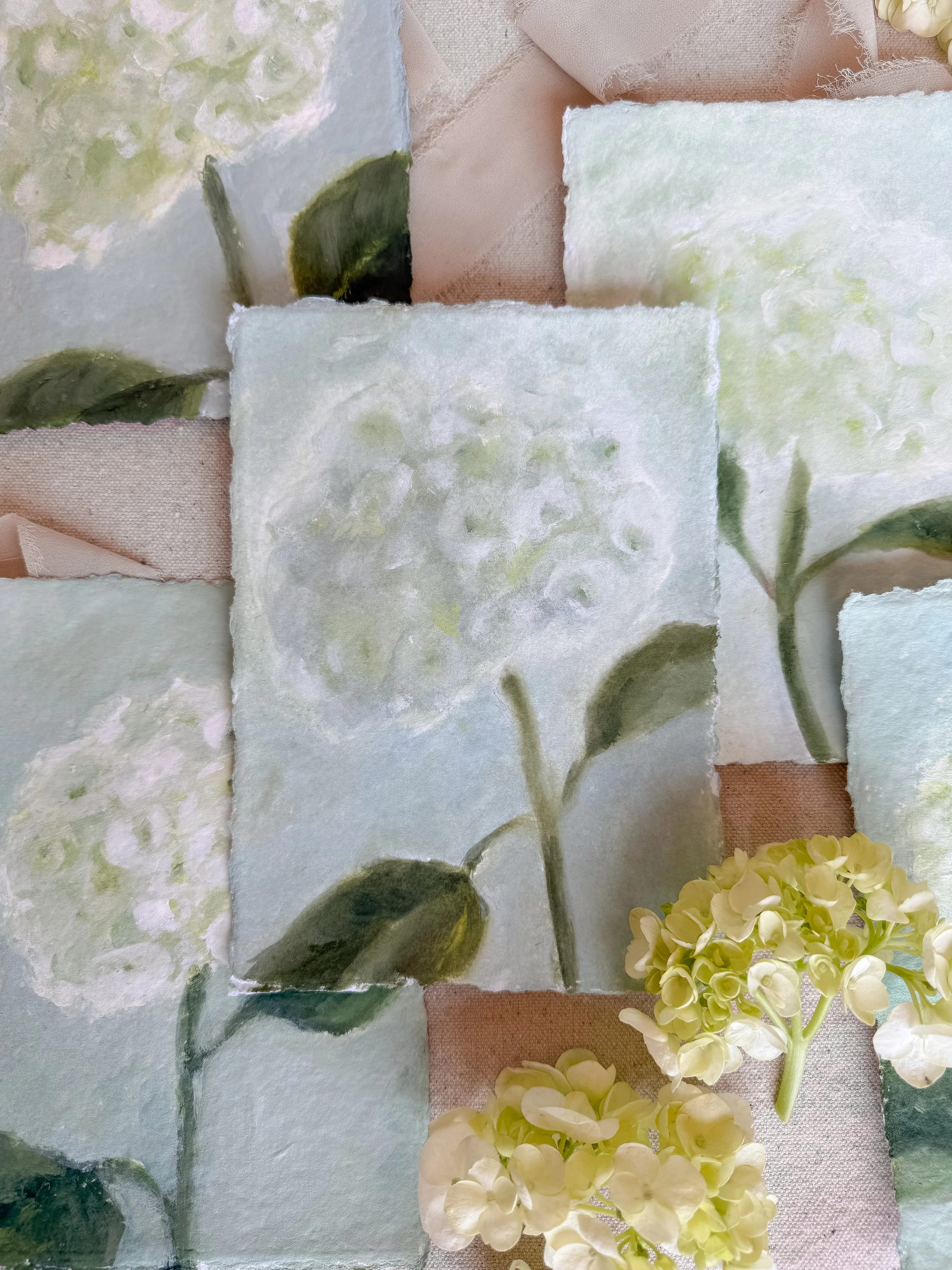 Hydrangea 07