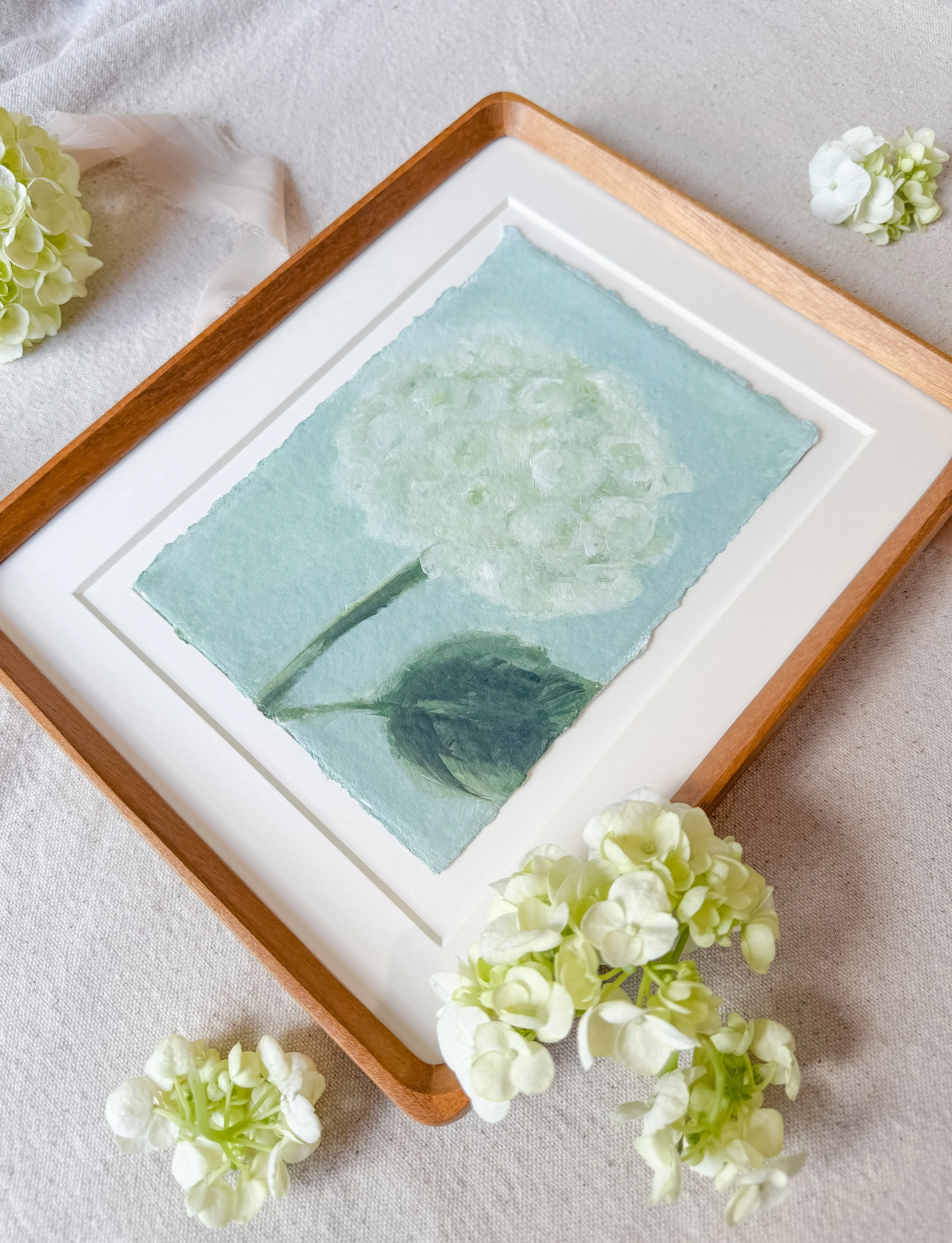Hydrangea 06