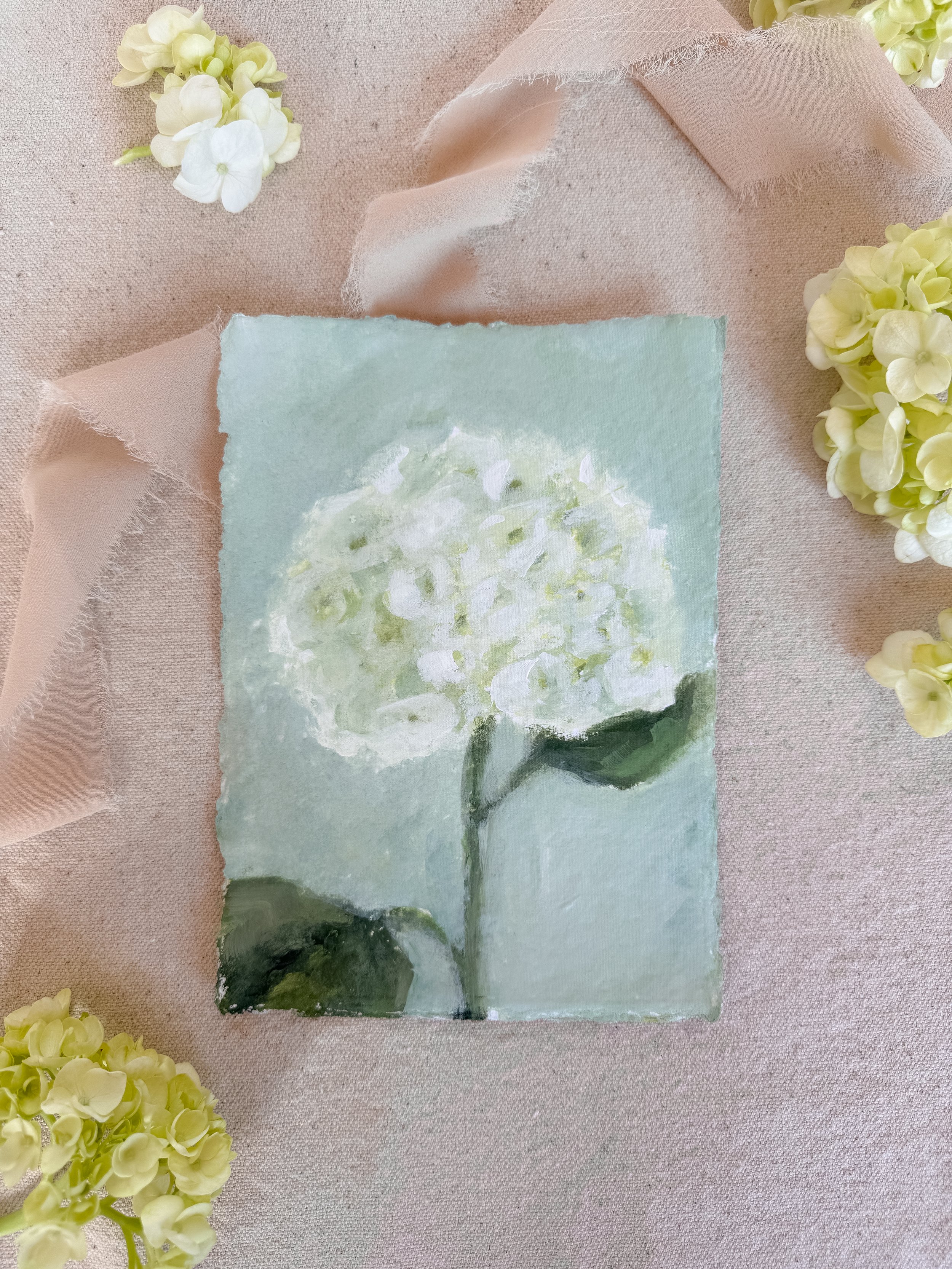 hydrangea 03.jpg