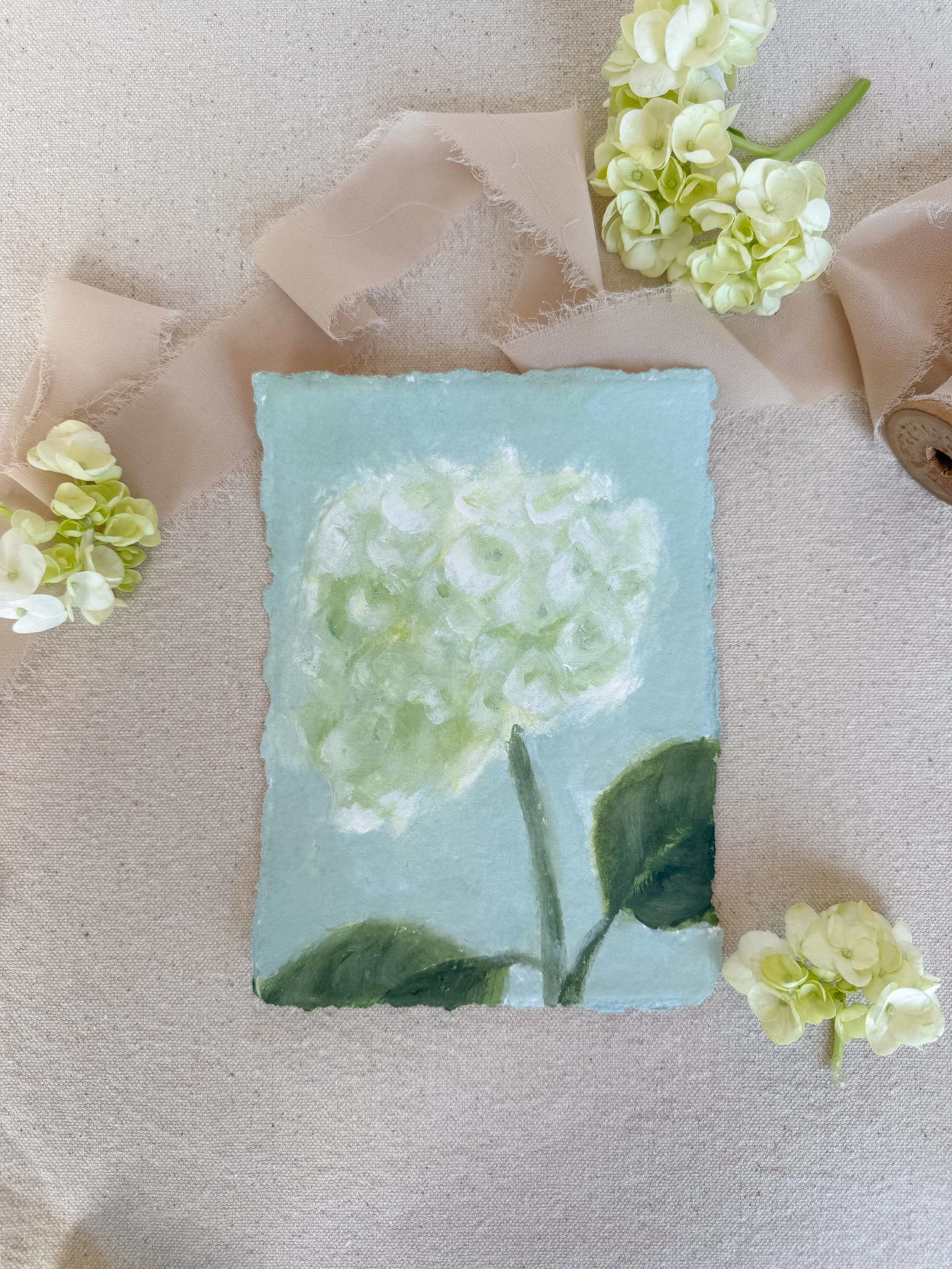 Hydrangea 01