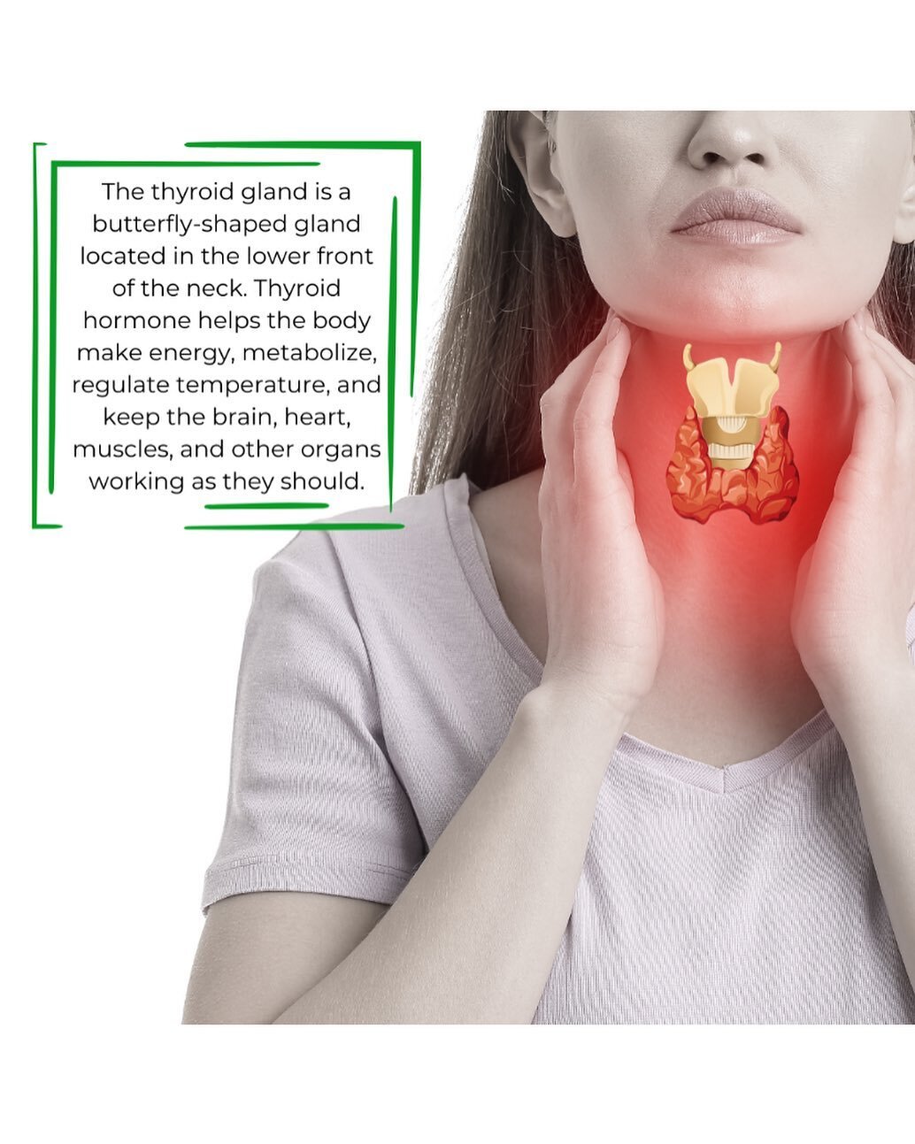 It&rsquo;s thyroid health month! Show your thyroid some love by eating mineral rich foods. 🍤 Shellfish and other seafood are good sources of selenium copper and manganese. Essential for thyroid hormone production. 🥗 Take it easy on the kale salads.