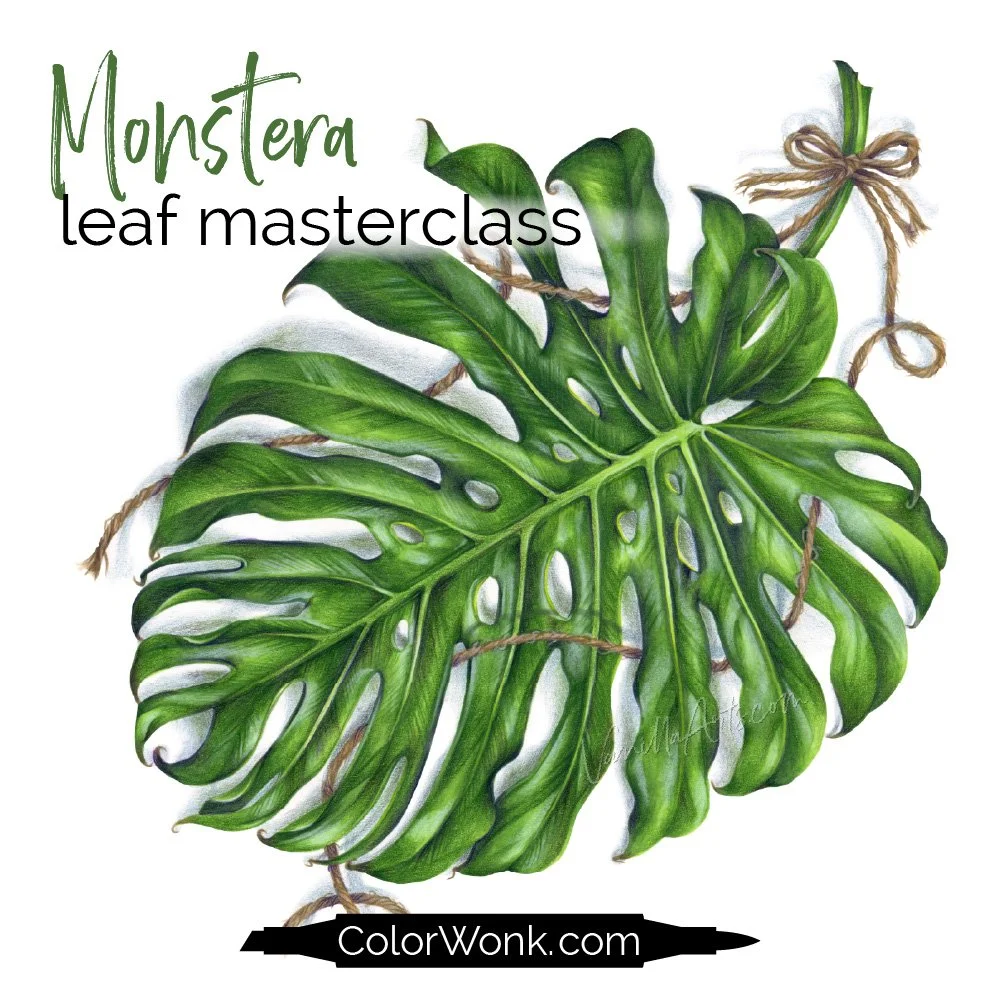 Realistic green leaf lesson focused on form using alcohol markers and colored pencil techniques for realistic shading and dimension.