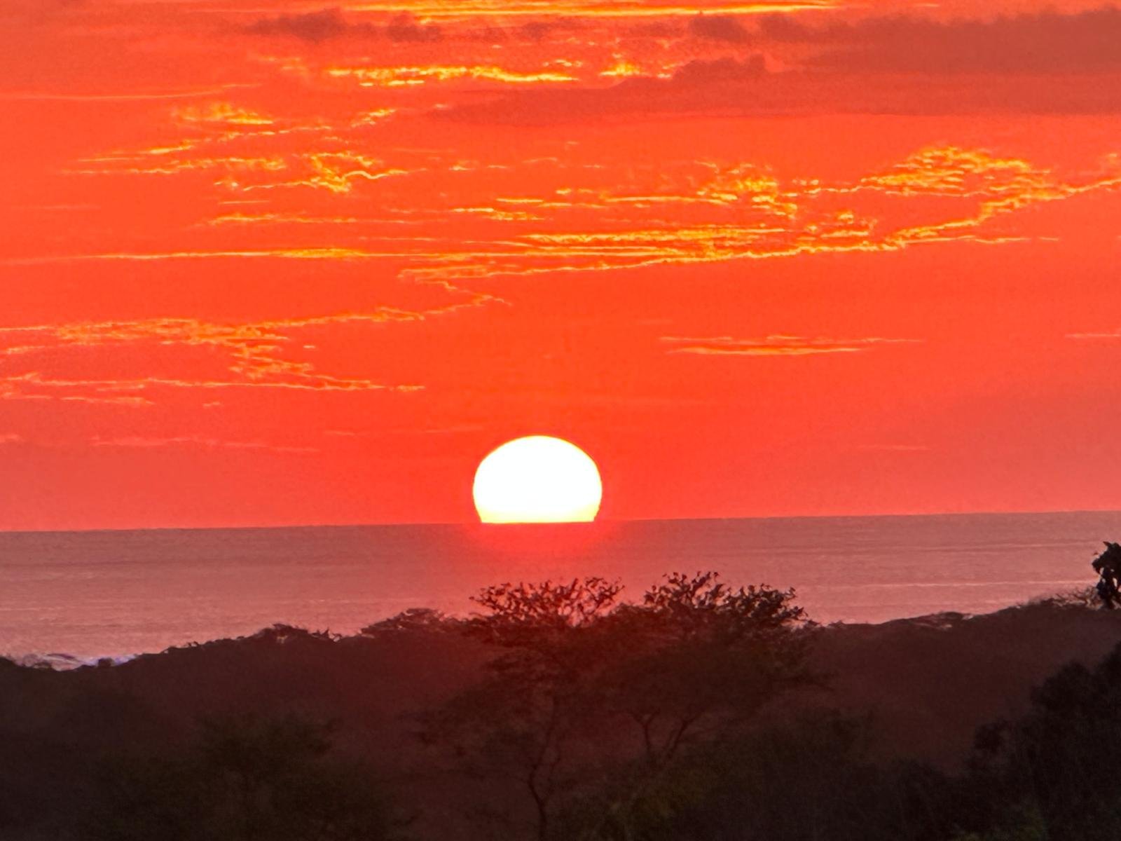 WhatsApp Image 2024-06-04 at 08.55.12 (1).jpeg