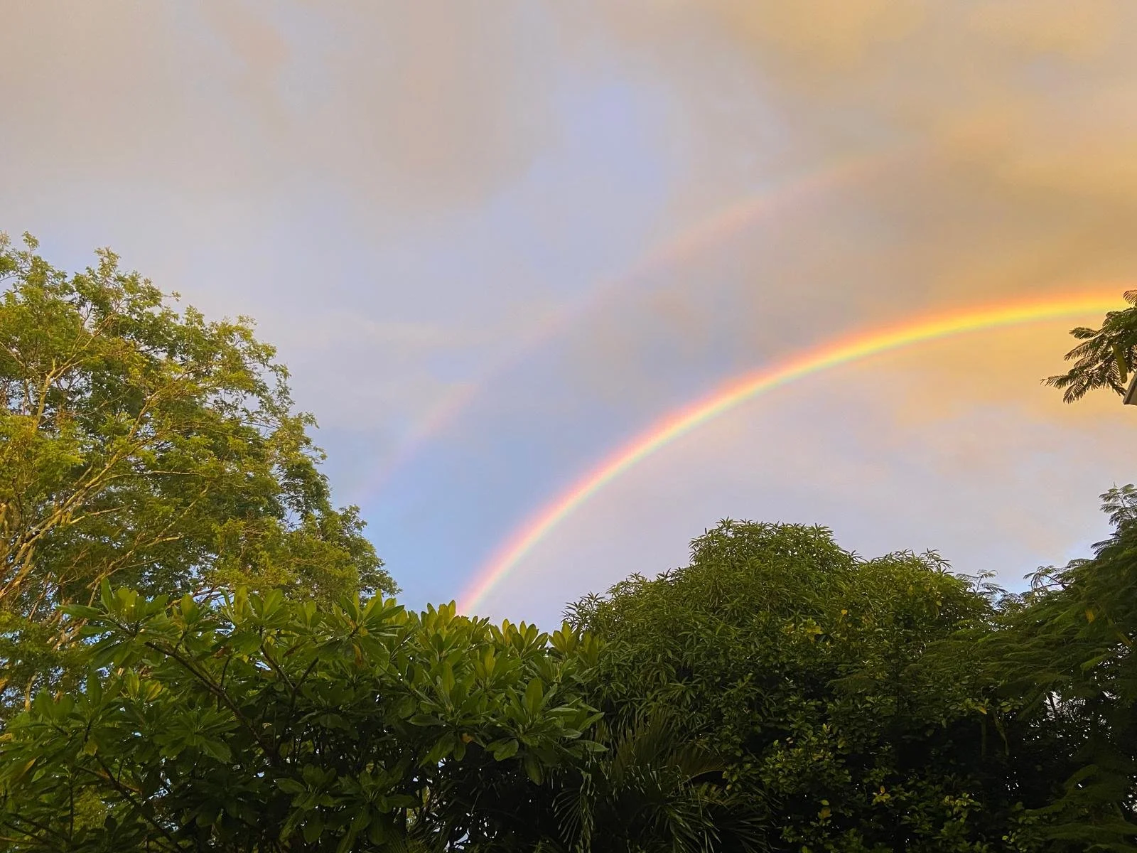 WhatsApp Image 2024-06-04 at 08.55.15 (7).jpeg