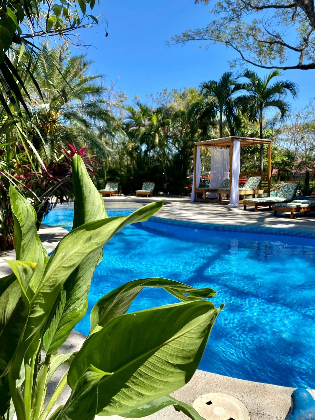 WhatsApp Image 2024-05-02 at 20.40.30 (3).jpeg