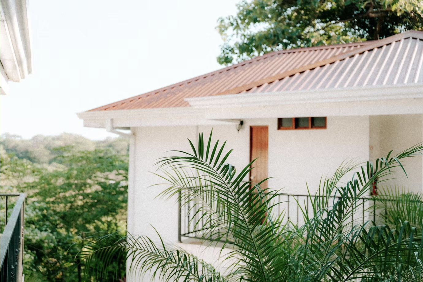 Kambo Casita's facility has many jungle and ocean views. Ancestral Wholeness Retreat April 2025 Costa Rica