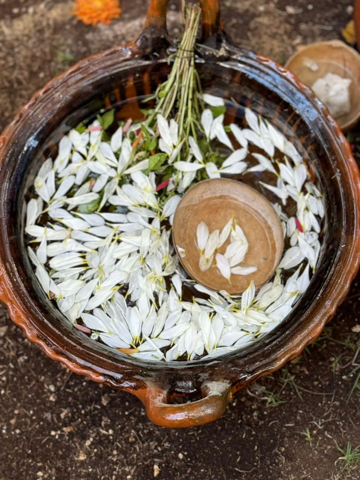 Walking the Beauty Way with integrity - Ancestral wholeness retreat - april 2025, Costa Rica.