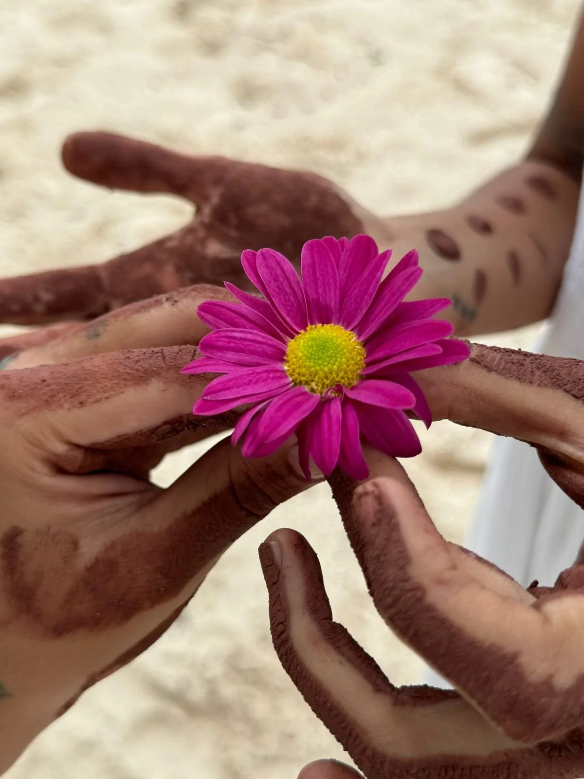 WhatsApp Image 2025-11-26 at 12.01.06 (3).jpeg