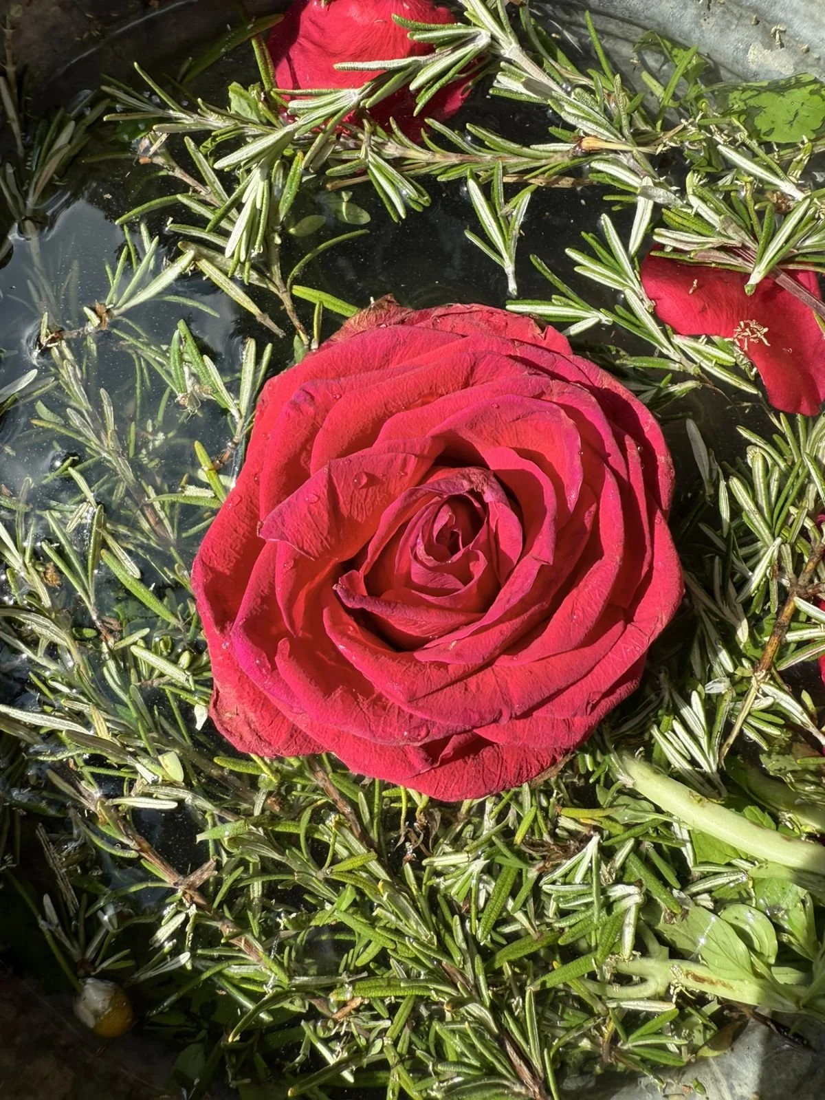 Sacred offerings for our ceremonies. Ancestral wholeness retreat - april 2025, Costa Rica.