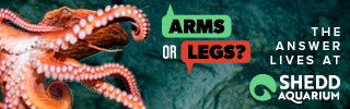ADV2308_DigitalHTMLBanners_Layout_320x100_octopus.png