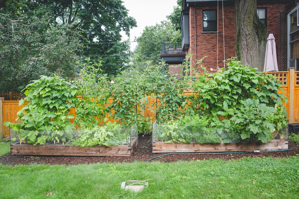 custom garden build.jpg