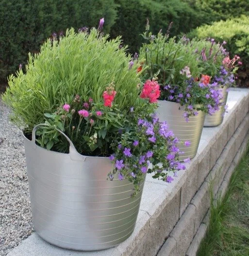 planter 5_edited.jpg