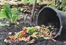 compost 3.jpg