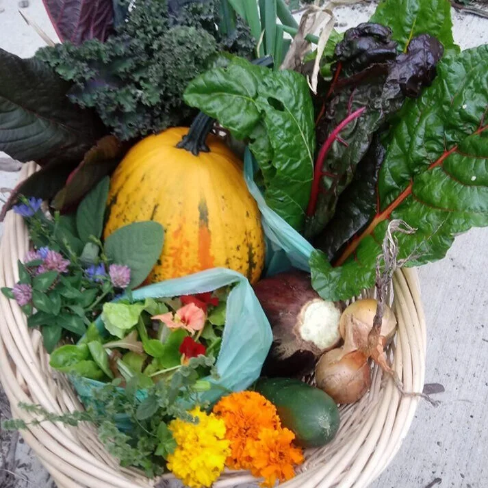 Star Farm Produce.jpg