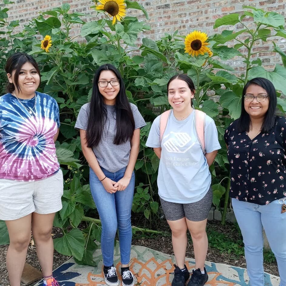 Welcoming our fantastic OneSummerChicago youth this summer! So excited to work with these wonderful youth so closely for the next six weeks: they are learning food safety, farm management, harvesting and cultivating techniques, community engagement a