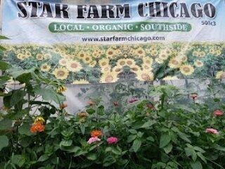 Scroll for a lil farm flower tour....or come see them yourself in person at our #AugustIceCreamSocial! Link in the the comments 🍦#OntheFarm #FarmtoTable #FarmBrunch #LocalChef #FarmFun #UrbanFarm #StarFarm #ArtisinalPours #Local #Sustainable #Delici