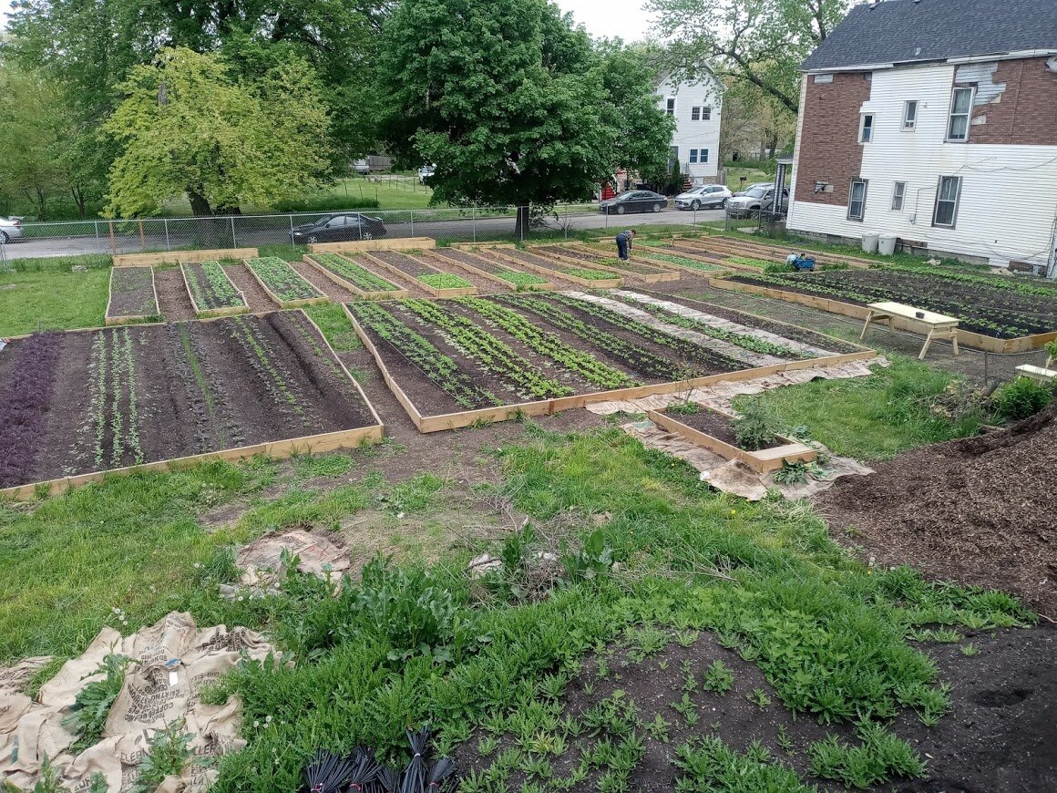 incu farm 8.jpg