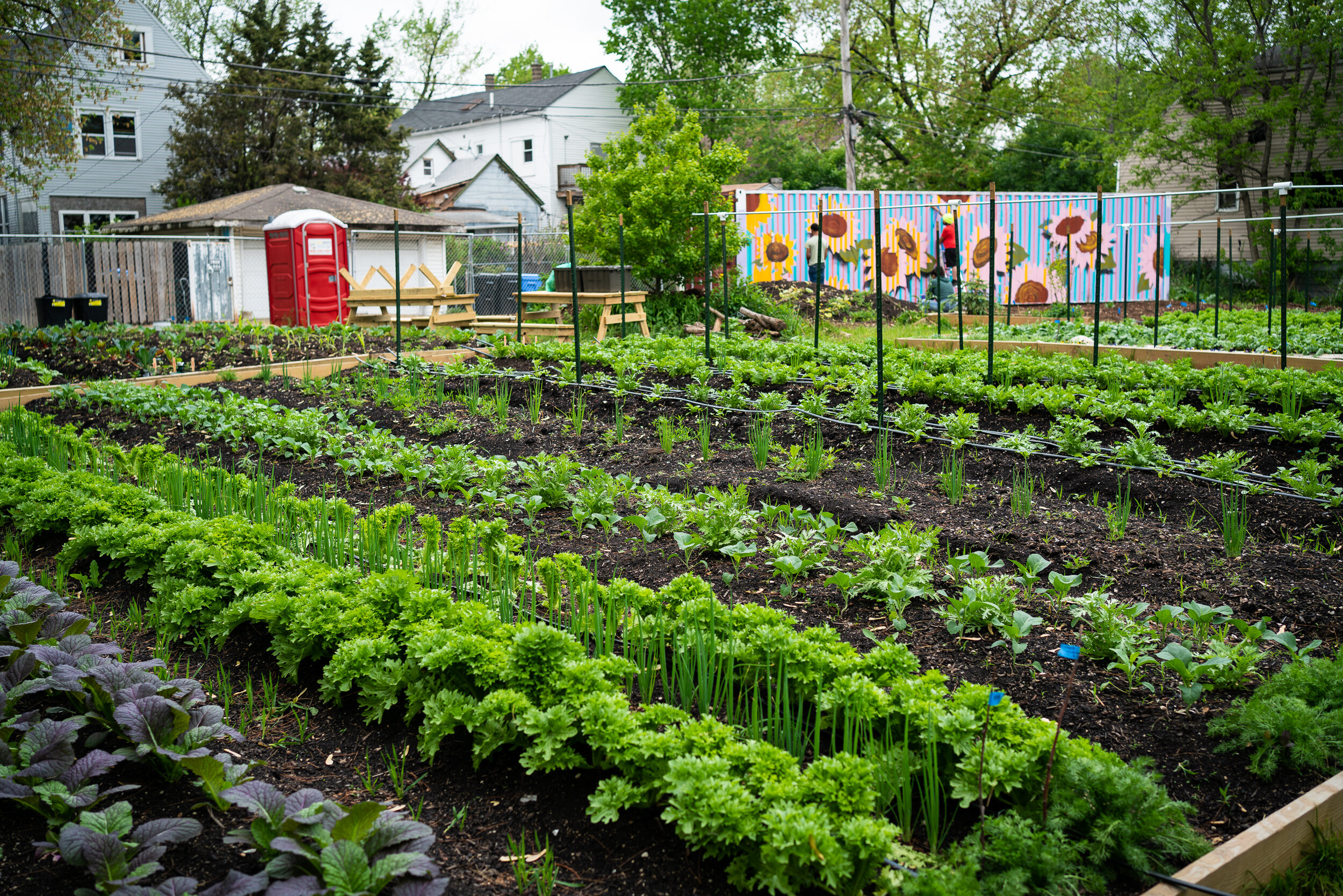 Mural_Project-19.jpg