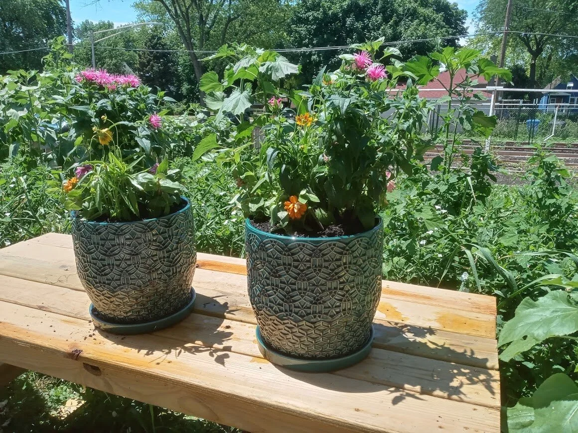Pollinator Planters