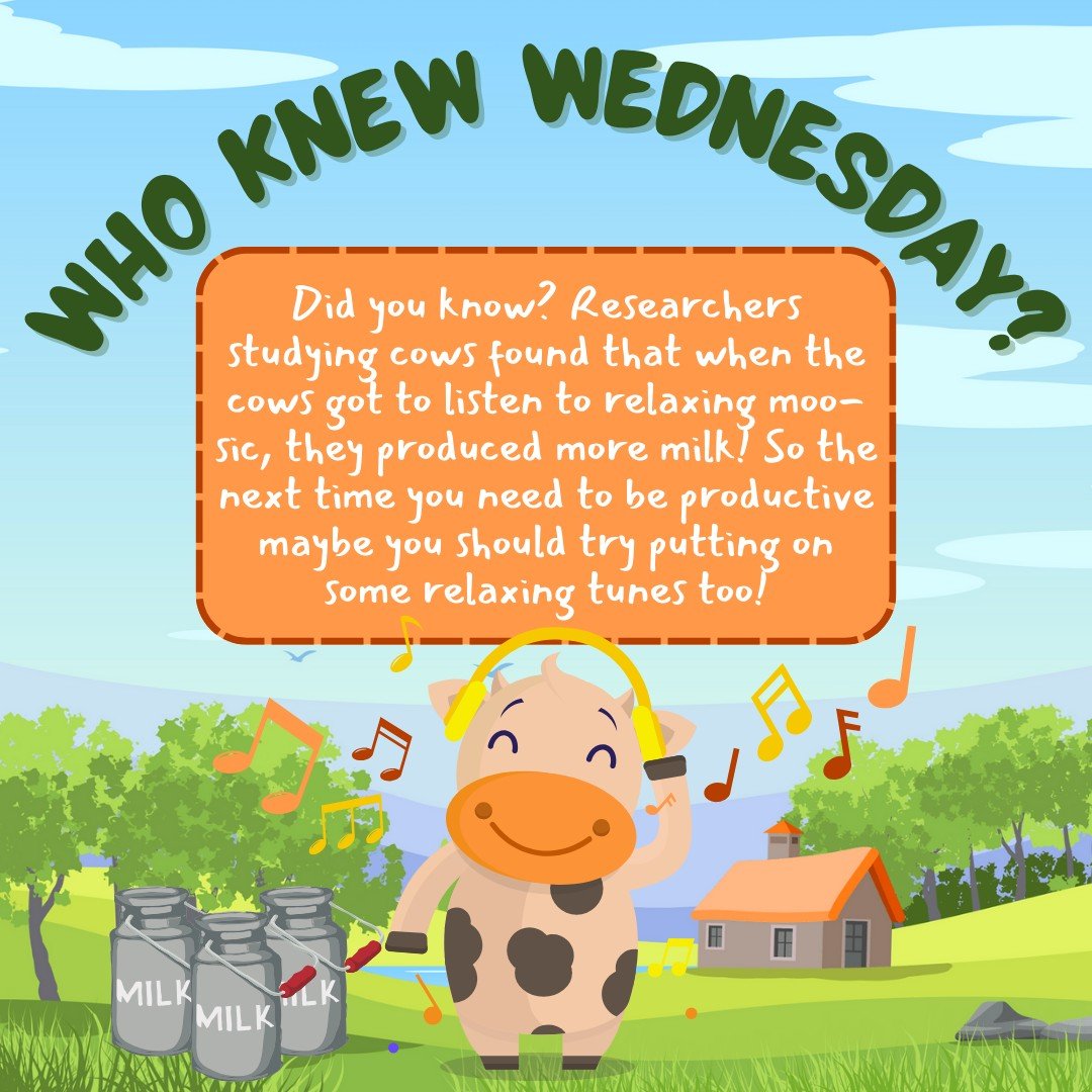 It's WHO KNEW WEDNESDAY?!? Sorry, not sorry for the cow pun.🐮🐄🎼