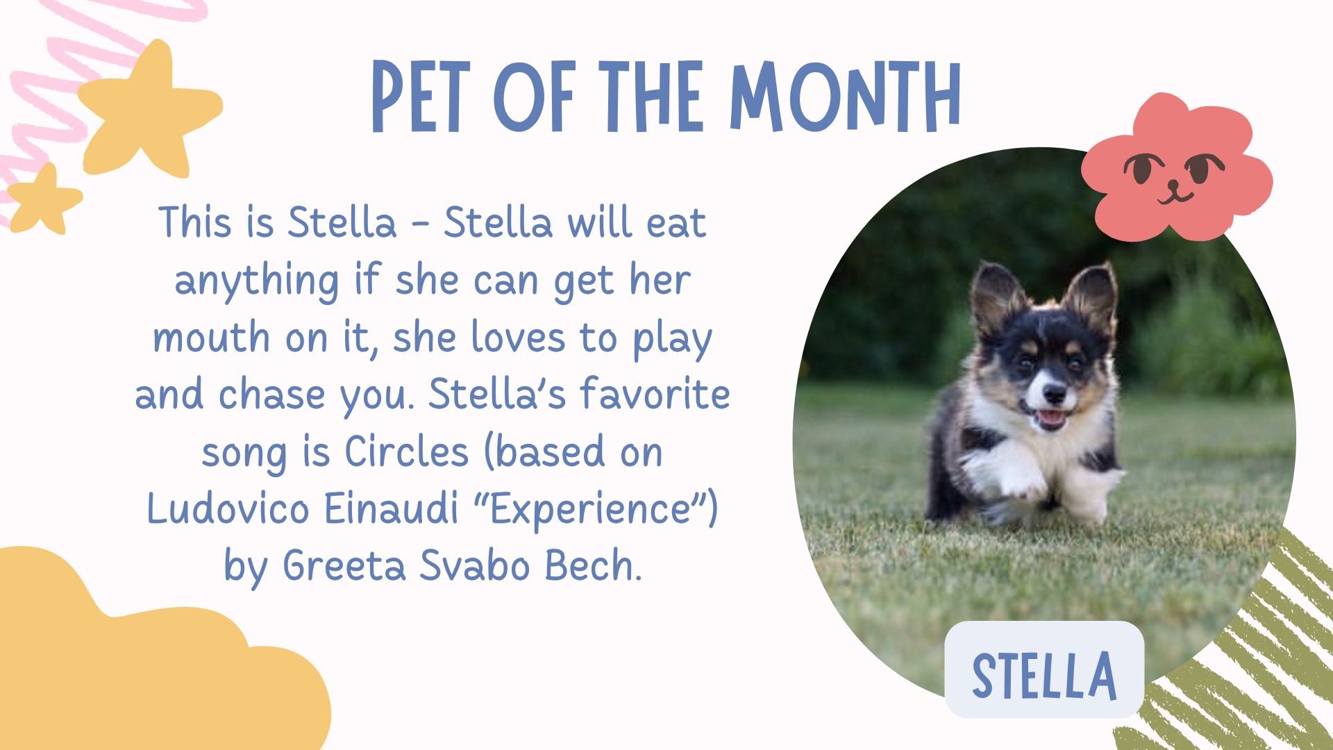 It's FURRY FRIEND FRIDAY! Say hello to Stella. Then nominate your pet for pet of the month by emailing us a picture, your pet's name, and some fun facts about them. All species welcome!🐶🐱🐭🐹🐰🐮🐷🐸🐔🐦🦆🫏🐴🐛🐜🐍🐢🦂🐠🐡🦀🦐🐟🐓🦃🦜🦨