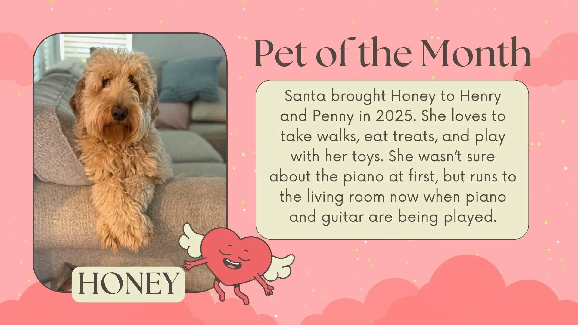 It's FURRY FRIEND FRIDAY!!! Meet our pet of the month who is as sweet as her name.🍯🐝 
Nominate your pet for met of the month by emailing us a picture with some fun facts about your pet; all species welcome!!🪿🐷🦊🐰🐴🐝🐍🦎🦂🕷️🦐🦞🦀🐟🐖🐑🐈🐕🐩🦚