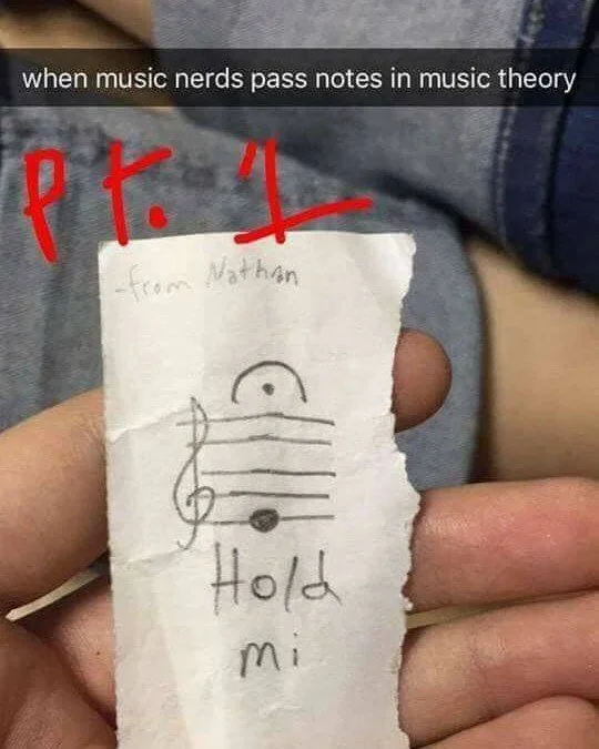 Happy Music Meme Monday! Did you know that we also offer music theory lessons? Book a private lesson or keep an eye out for the next time we host a group course!
Meme credit: classicfm.com