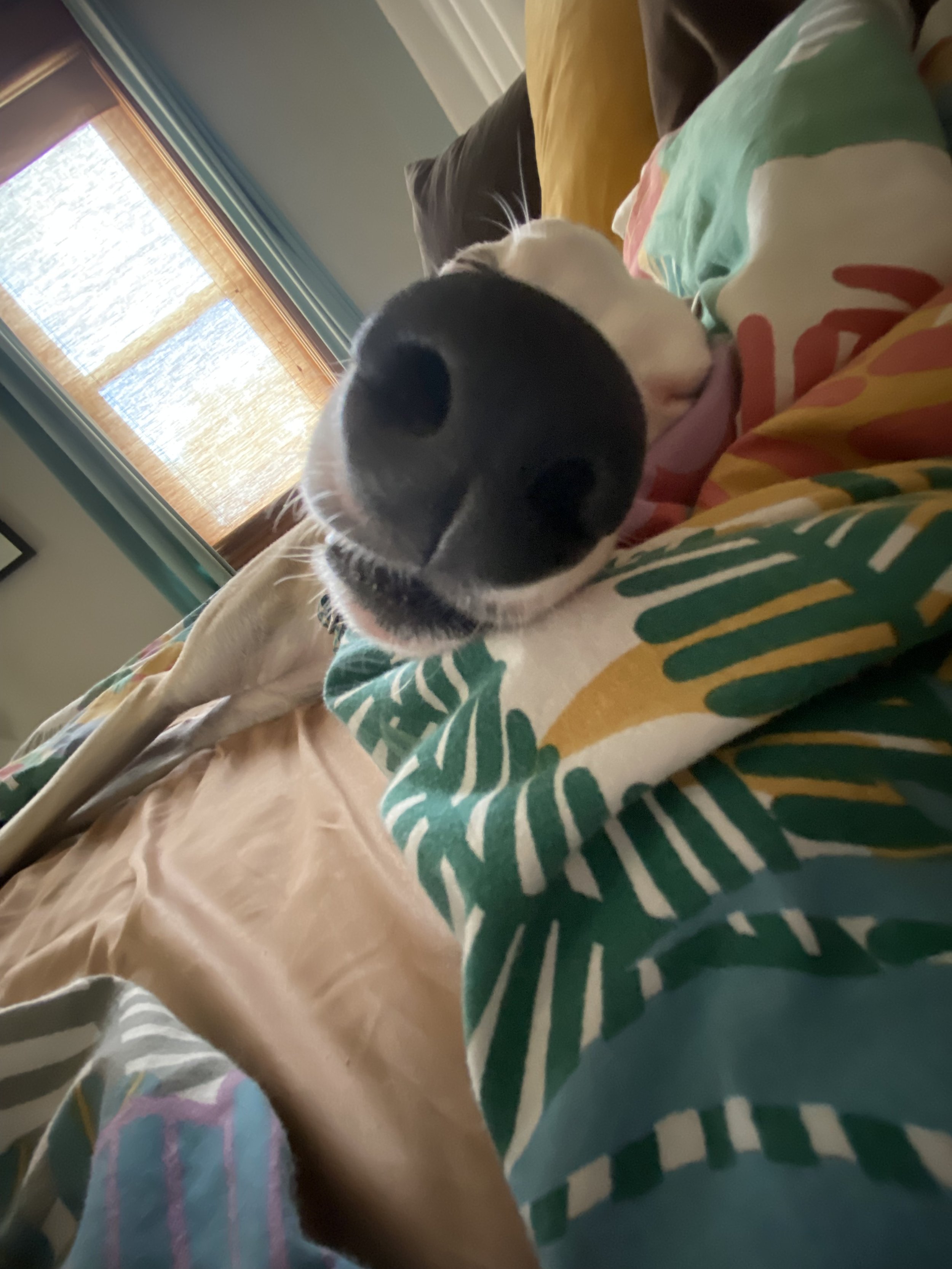 IMG_0216.jpeg