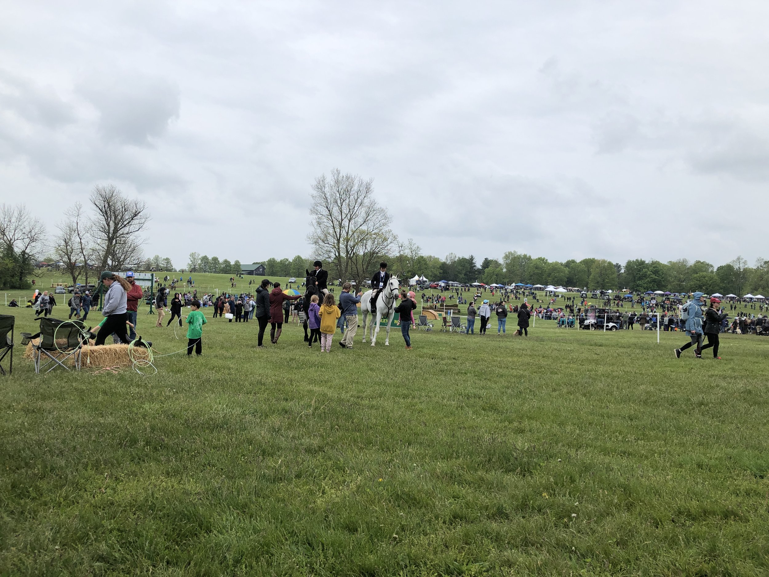 At the Kentucky horse park