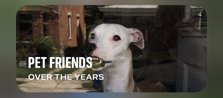 My phone shows me this every other month and it's hilarious.