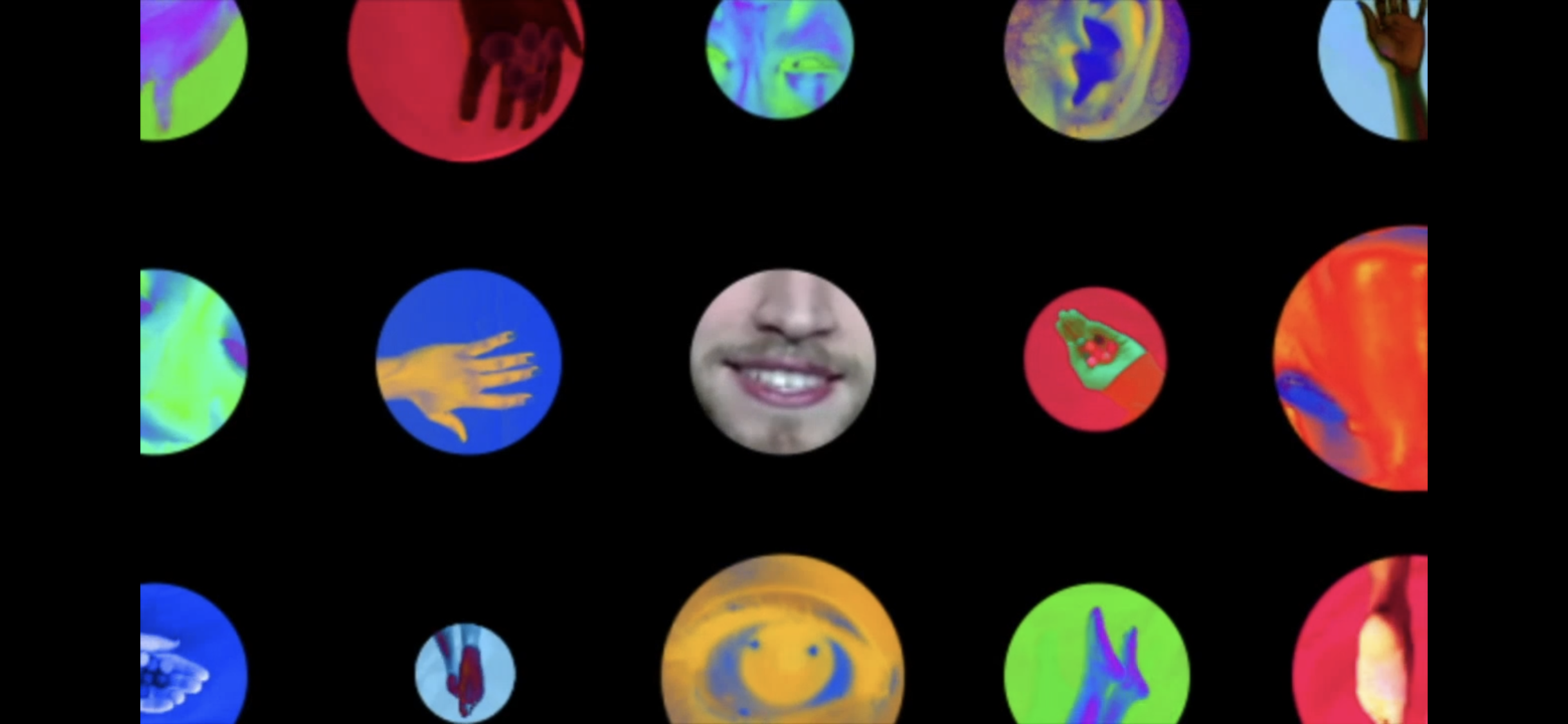 IMG_0973.PNG
