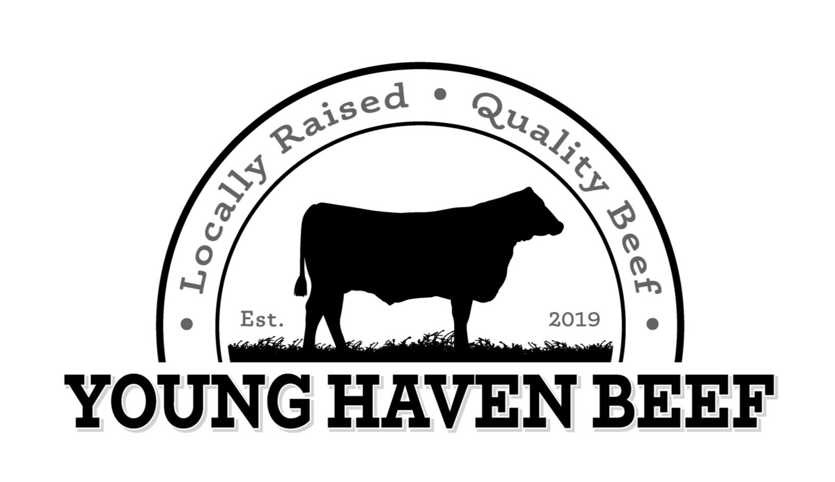 Young Haven