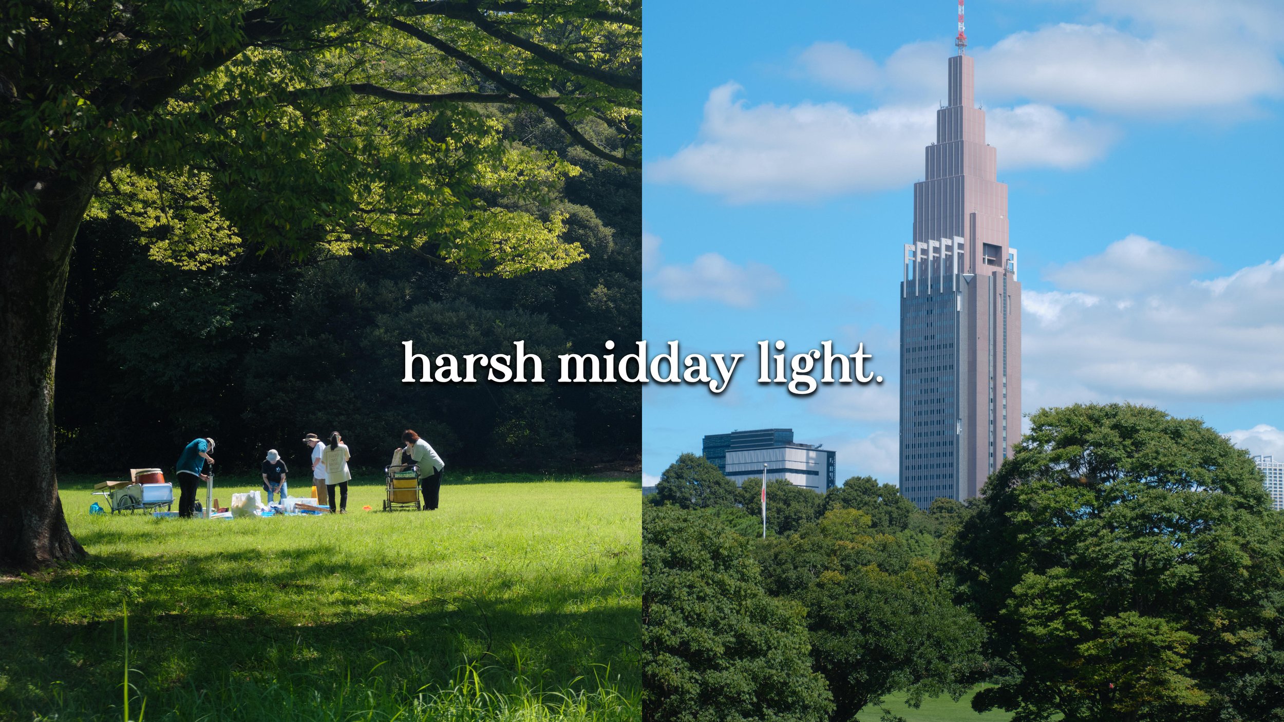 How to Take Photos in Harsh Midday Light