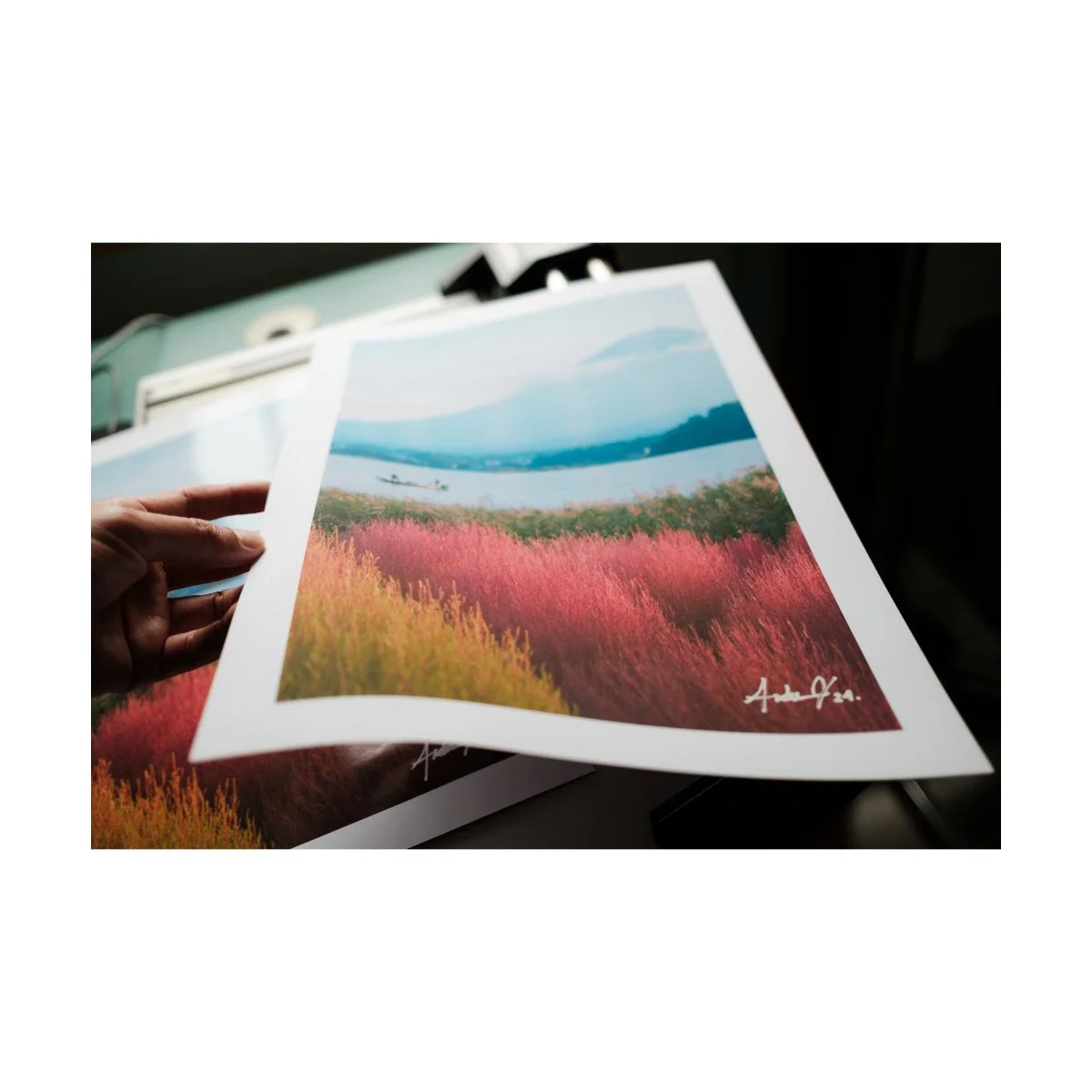 andre pel photography prints