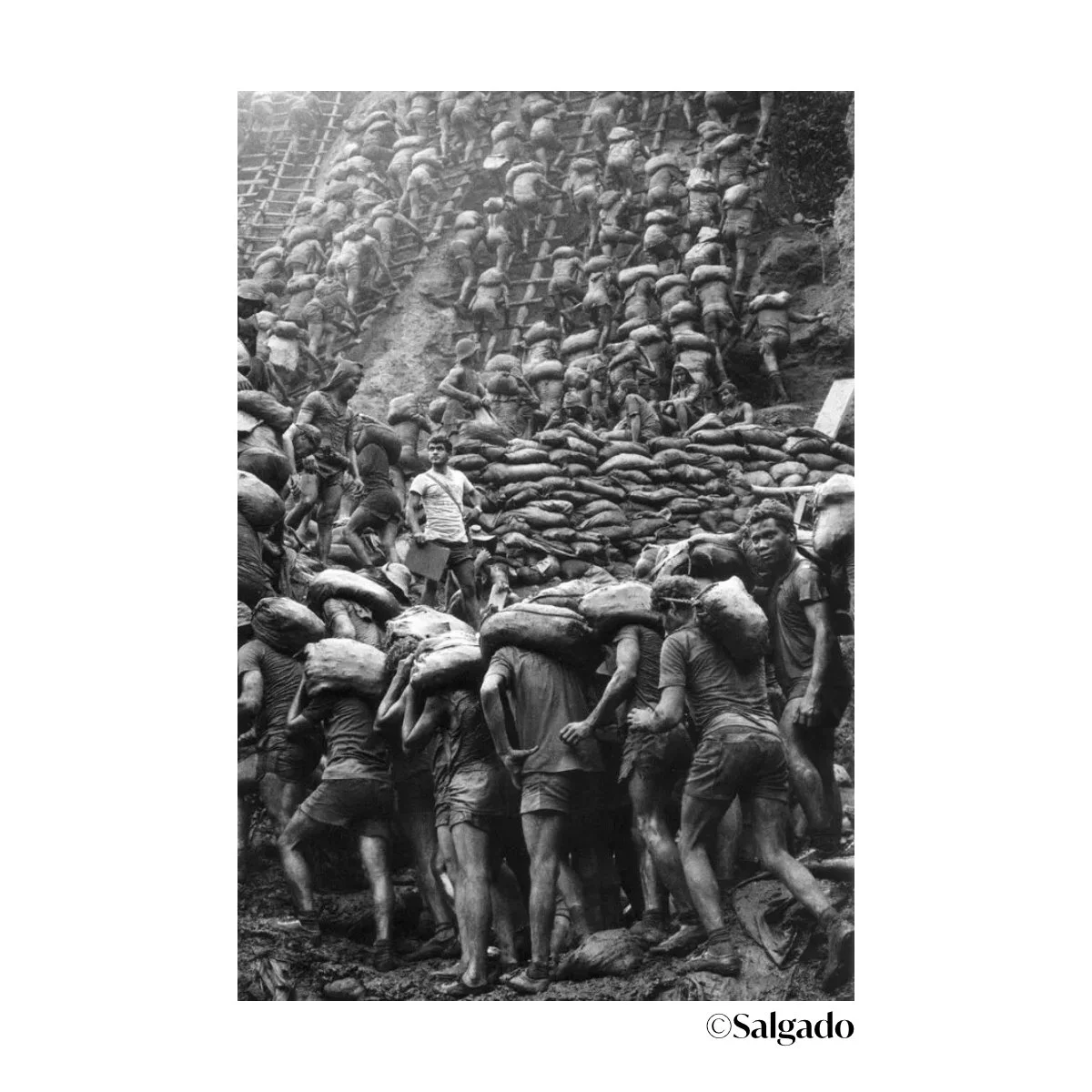 salgado brazil mines