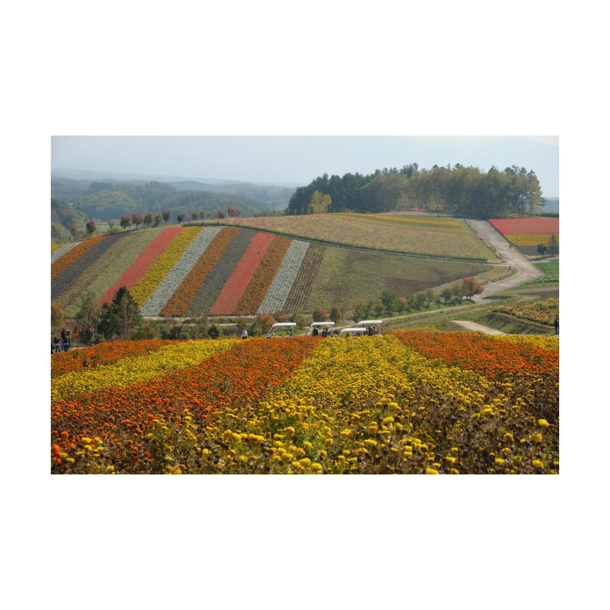 japan daytime photography andre pel