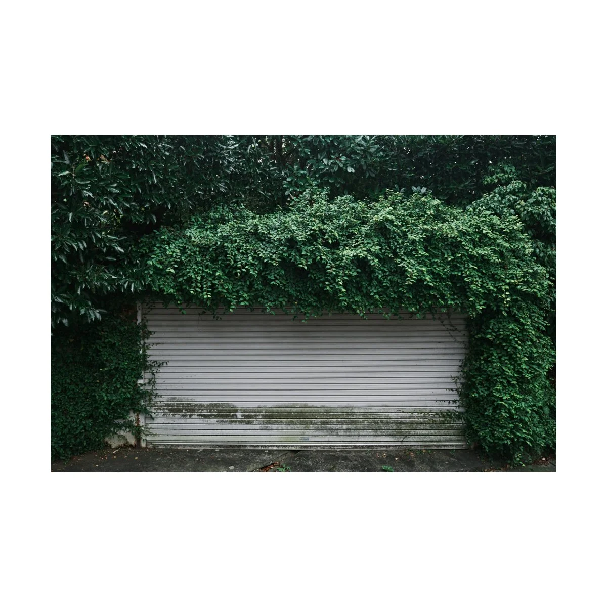 andre pel street photography