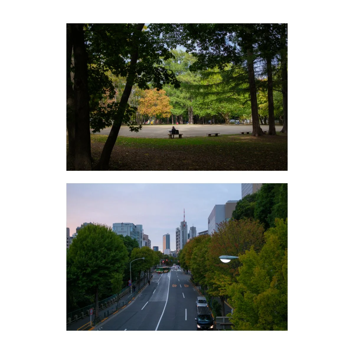 reala ace street photography