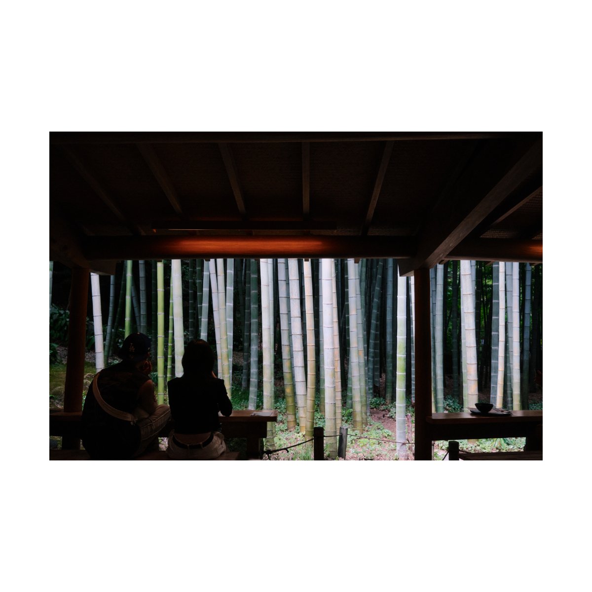 japan travel photography andre pel