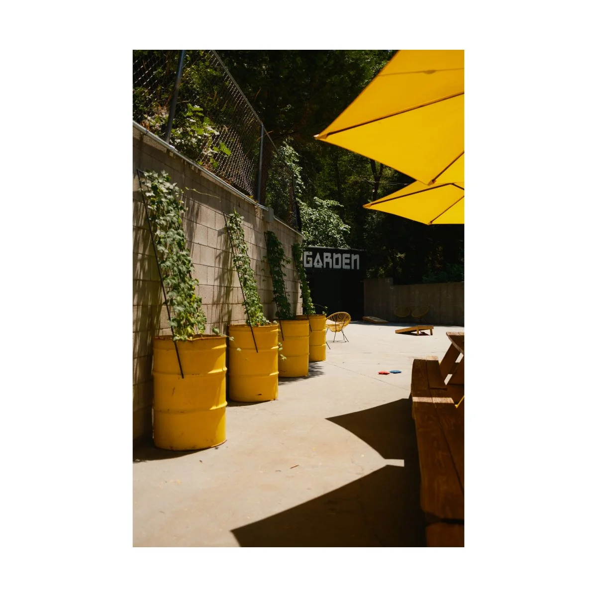 everyday photography andre pel