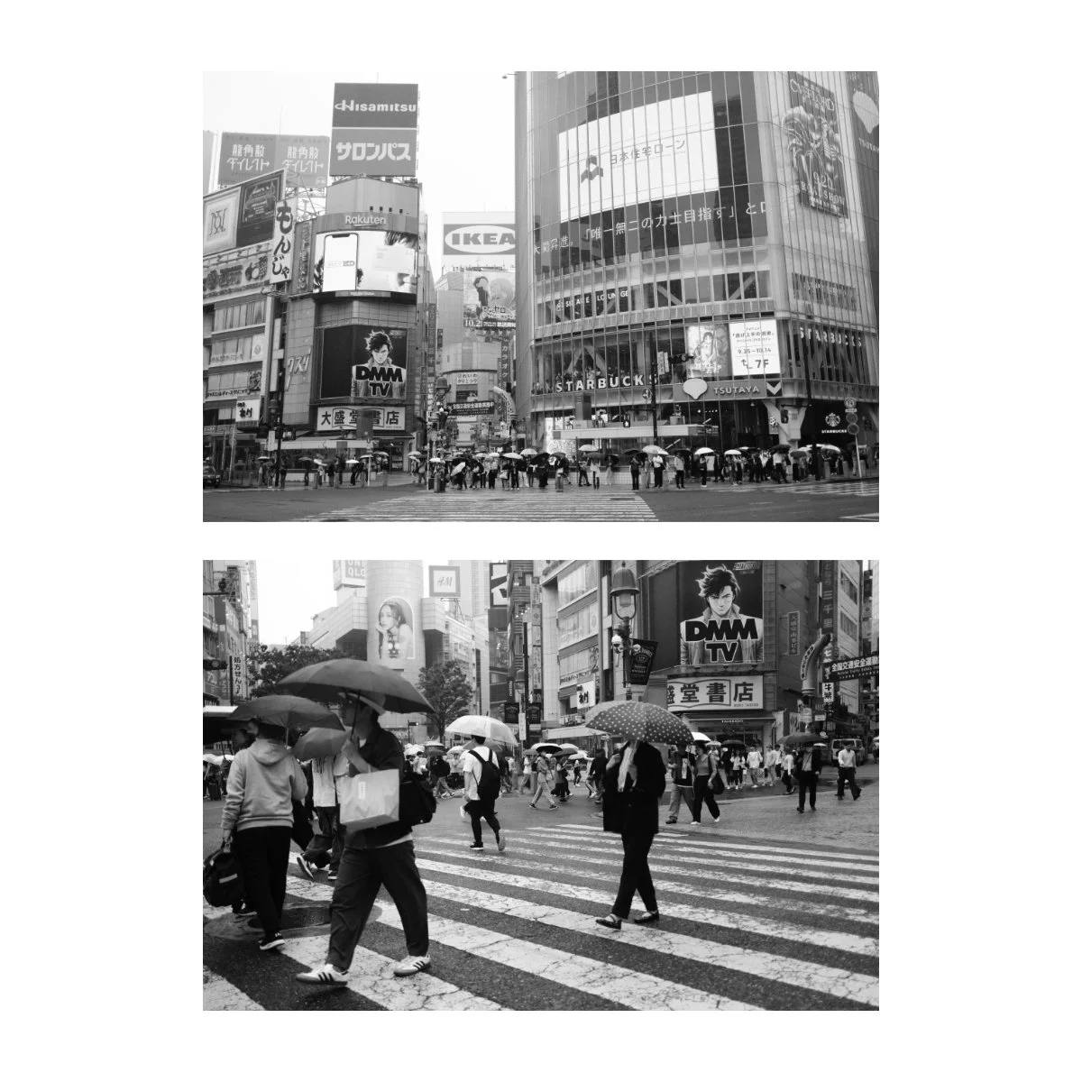 shibuya scramble crossing