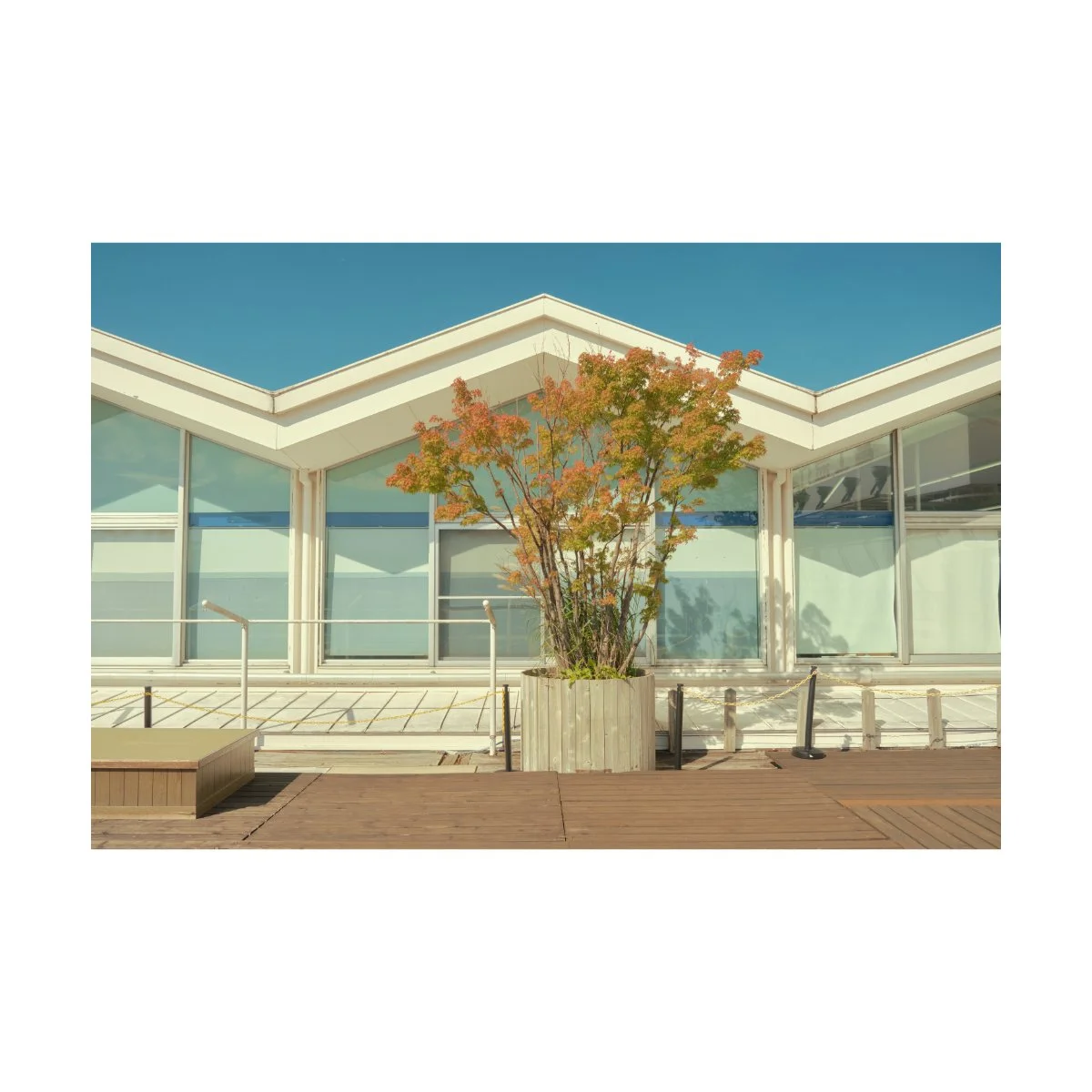 andre pel street photography